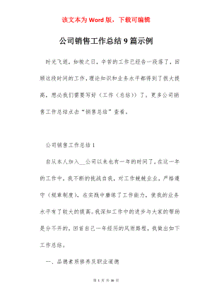 公司销售工作总结9篇示例.docx