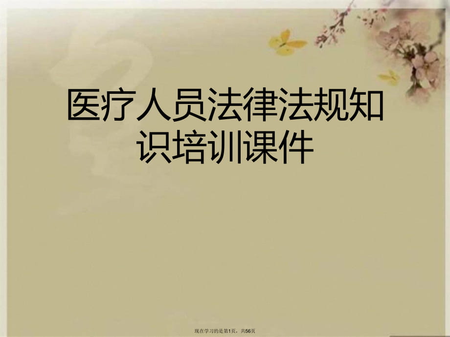 医疗人员法律法规知识培训 (2).ppt_第1页