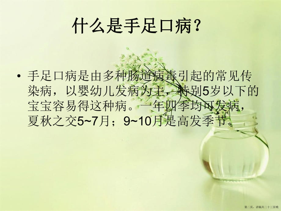 健康教育手足口病讲稿.ppt_第2页