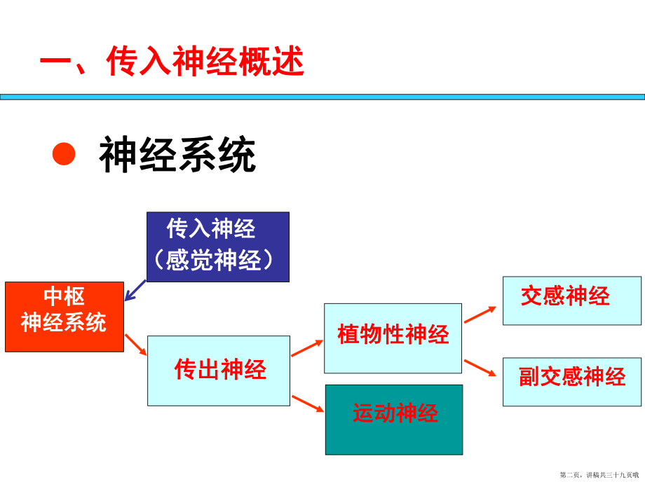 作用于传入神经系统的药物讲稿.ppt_第2页