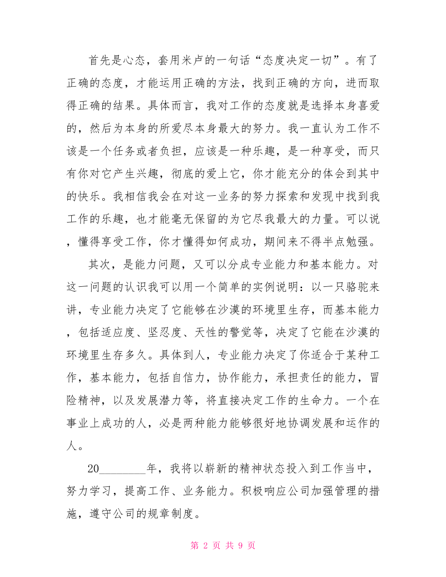 个人年度工作总结 企划年度工作总结.doc_第2页