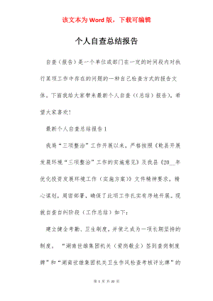 个人自查总结报告.docx