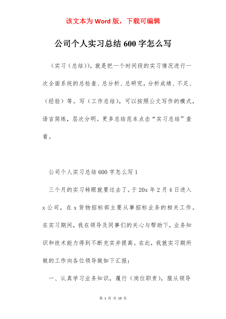 公司个人实习总结600字怎么写.docx_第1页