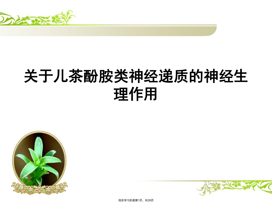 儿茶酚胺类神经递质的神经生理作用课件.ppt_第1页