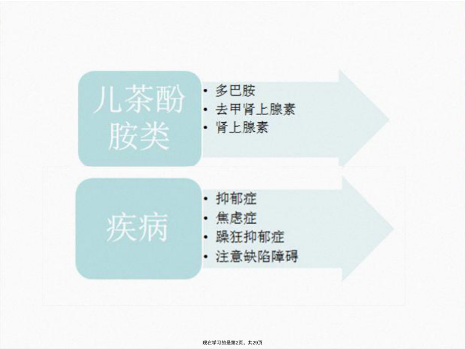 儿茶酚胺类神经递质的神经生理作用课件.ppt_第2页