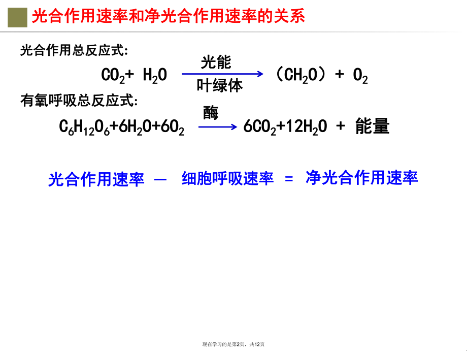 光合作用速率与净光合作用速率的关系课件.ppt_第2页