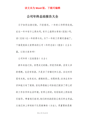 公司年终总结报告大全.docx