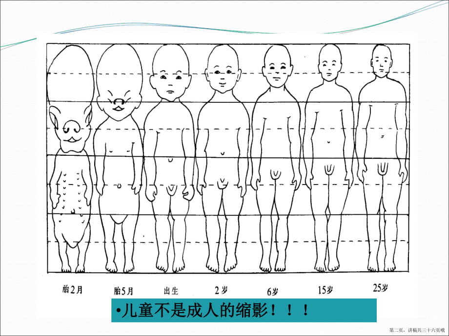 儿童合理用药讲稿.ppt_第2页