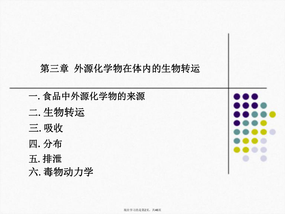 外源化学物在体内的生物转运 (2).ppt_第2页