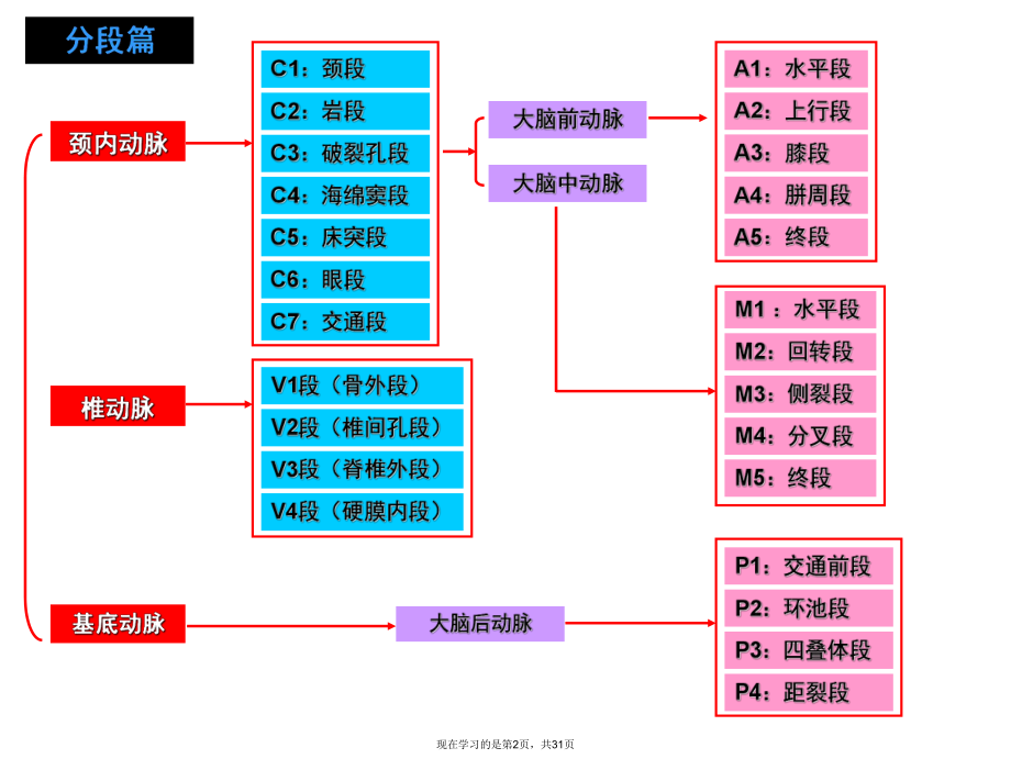 头颅血管脑动脉解剖与影像.ppt_第2页