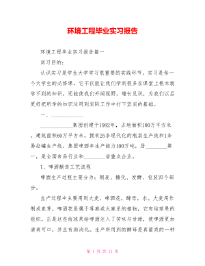 环境工程毕业实习报告 .doc