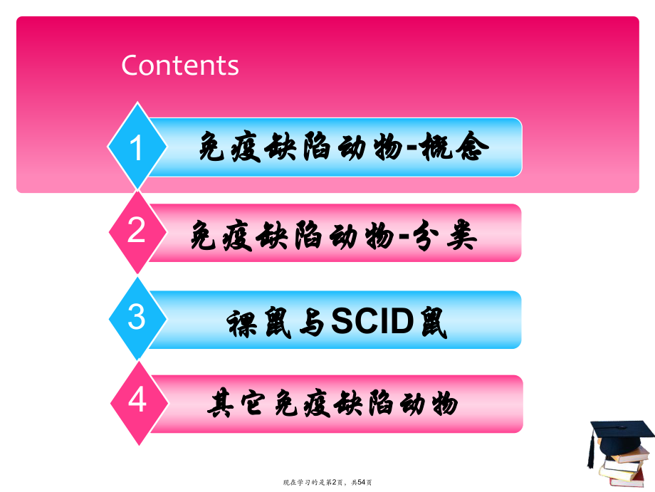 免疫缺陷动物 (3)课件.ppt_第2页