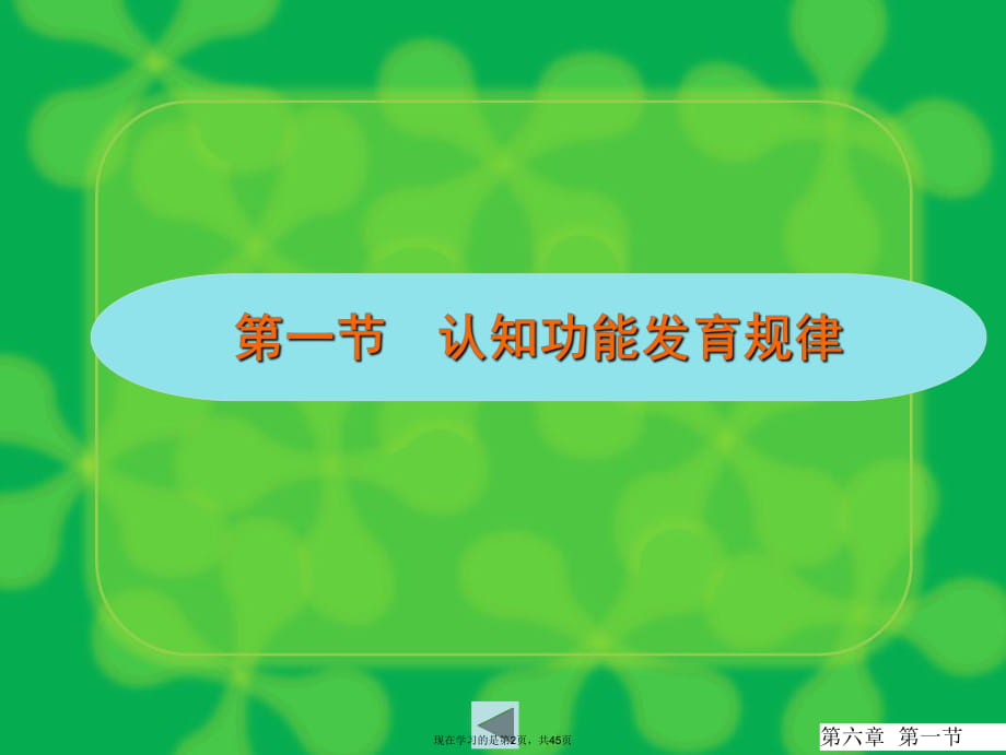 婴幼儿期认知功能发育.ppt_第2页