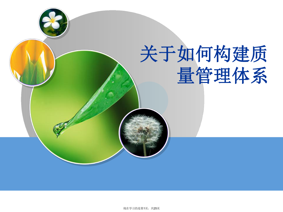 如何构建质量管理体系.ppt_第1页