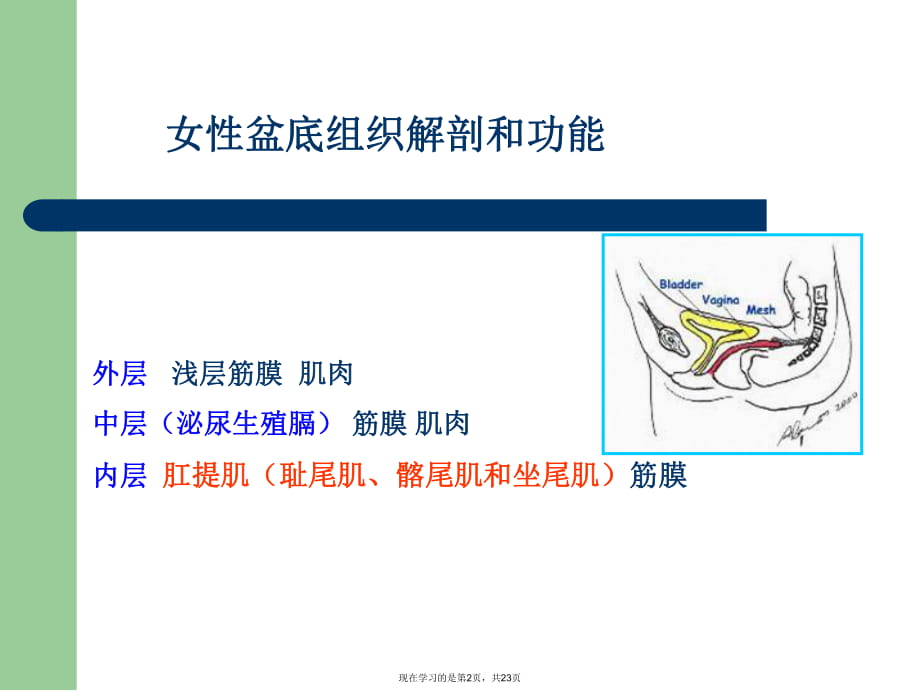 子宫脱垂.ppt_第2页