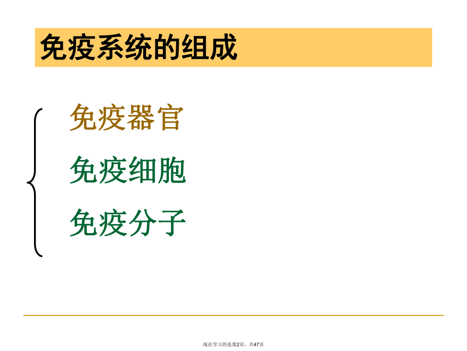 免疫器官和组织 (3)课件.ppt_第2页