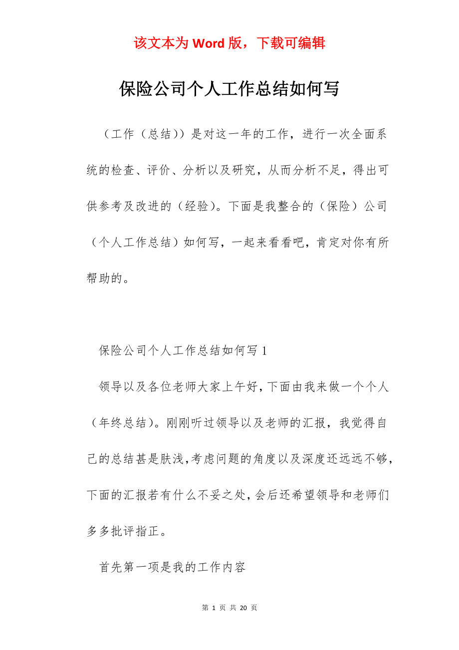 保险公司个人工作总结如何写.docx_第1页