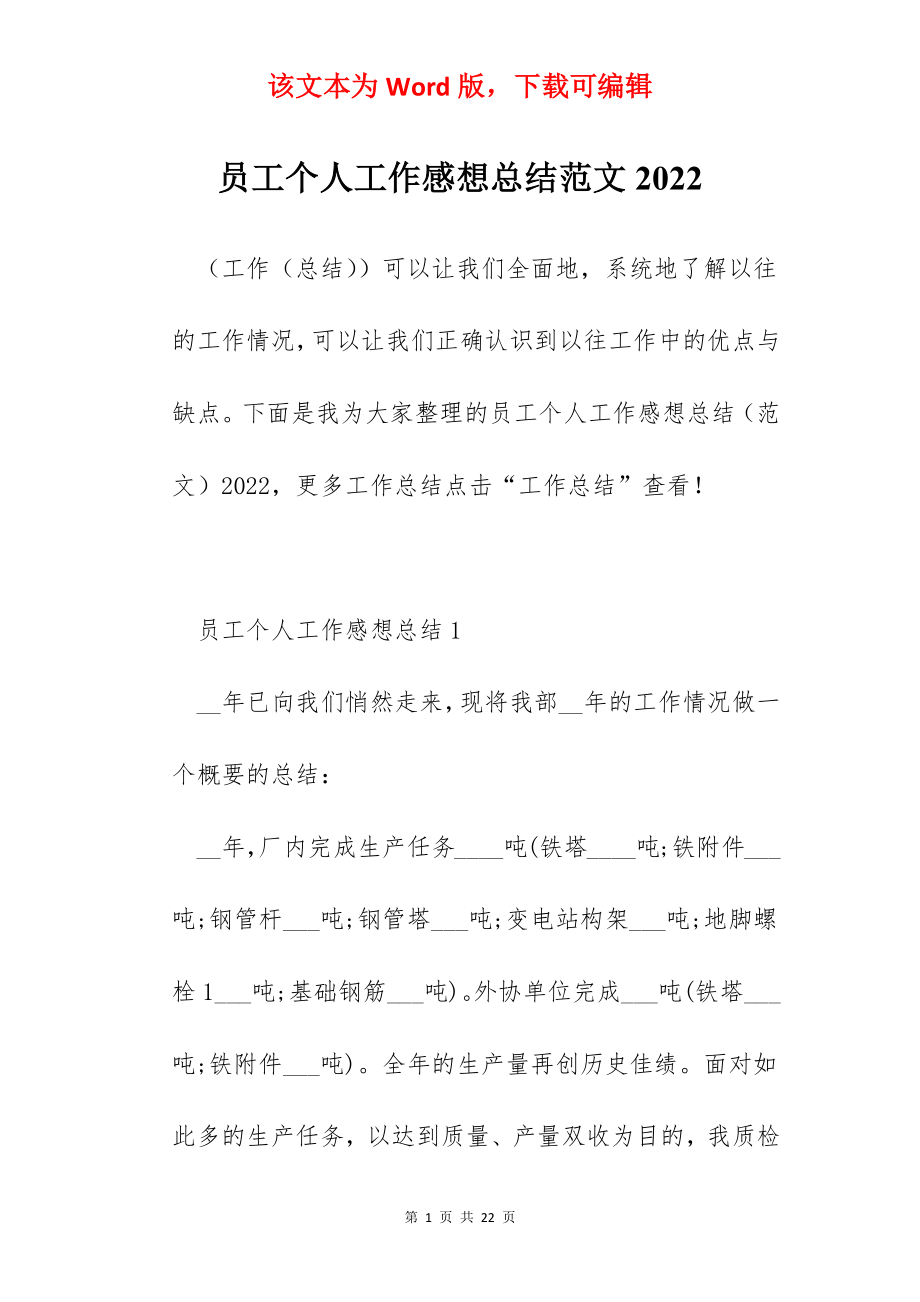 员工个人工作感想总结范文2022.docx_第1页