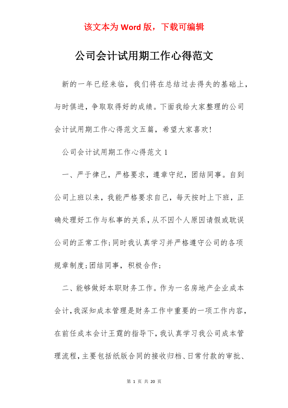 公司会计试用期工作心得范文.docx_第1页