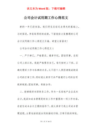 公司会计试用期工作心得范文.docx