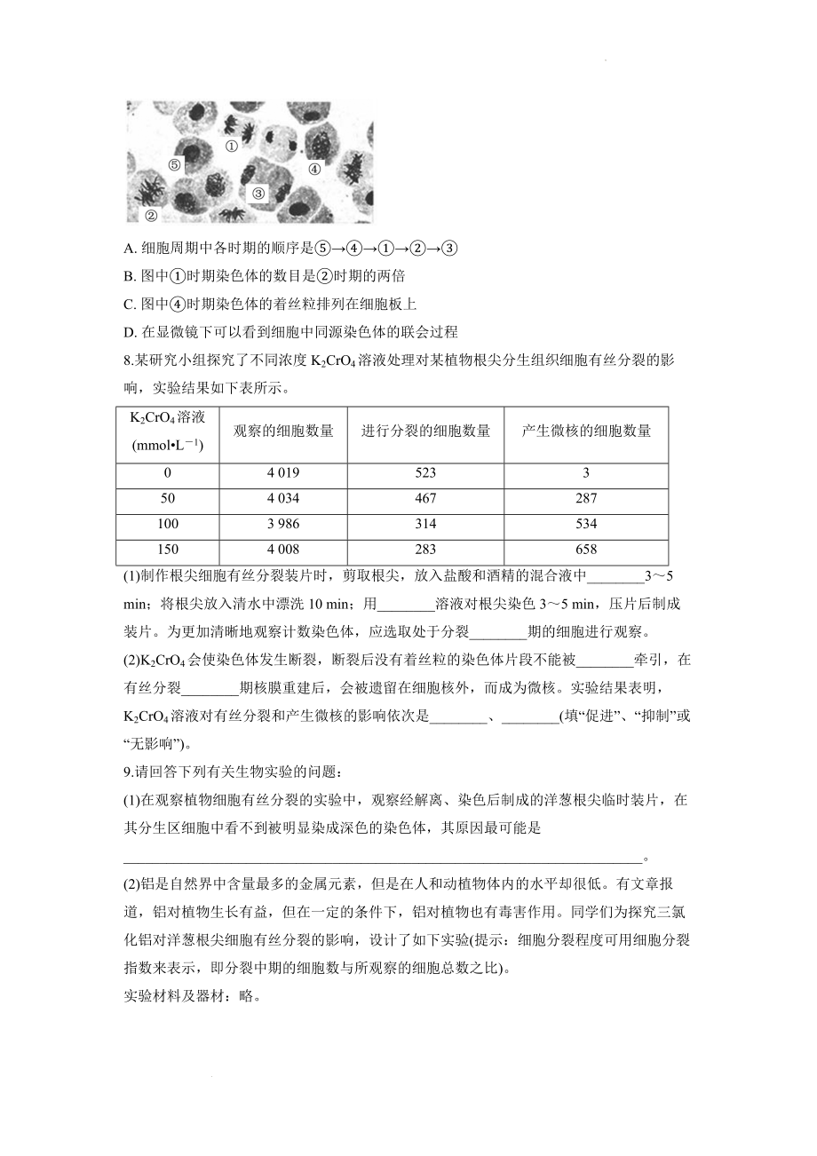 观察根尖分生区组织细胞的有丝分裂练习--高一上学期生物人教版（2019）必修1.docx_第2页