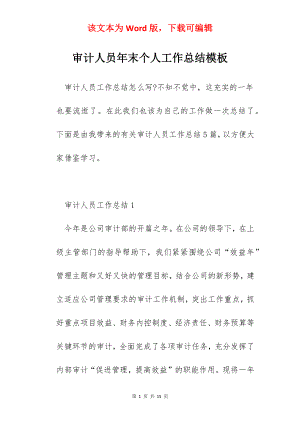 审计人员年末个人工作总结模板.docx