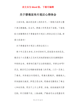 关于禁毒宣传片观后心得体会.docx