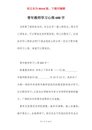 青年教师学习心得600字.docx