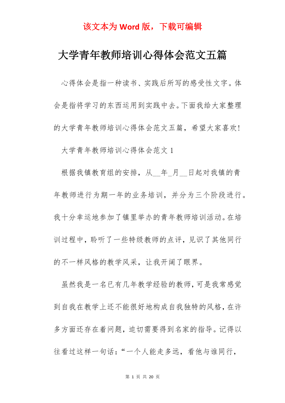 大学青年教师培训心得体会范文五篇.docx_第1页