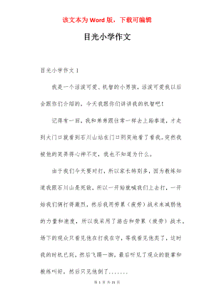 目光小学作文.docx