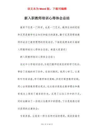 新入职教师培训心得体会总结.docx