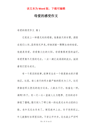 母爱的感受作文.docx