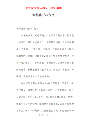 玩得真开心作文.docx