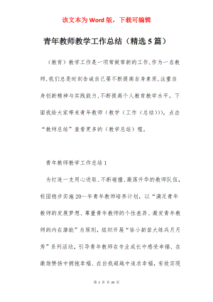 青年教师教学工作总结（精选5篇）.docx