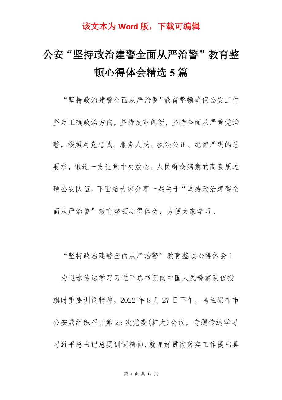 公安“坚持政治建警全面从严治警”教育整顿心得体会精选5篇.docx_第1页