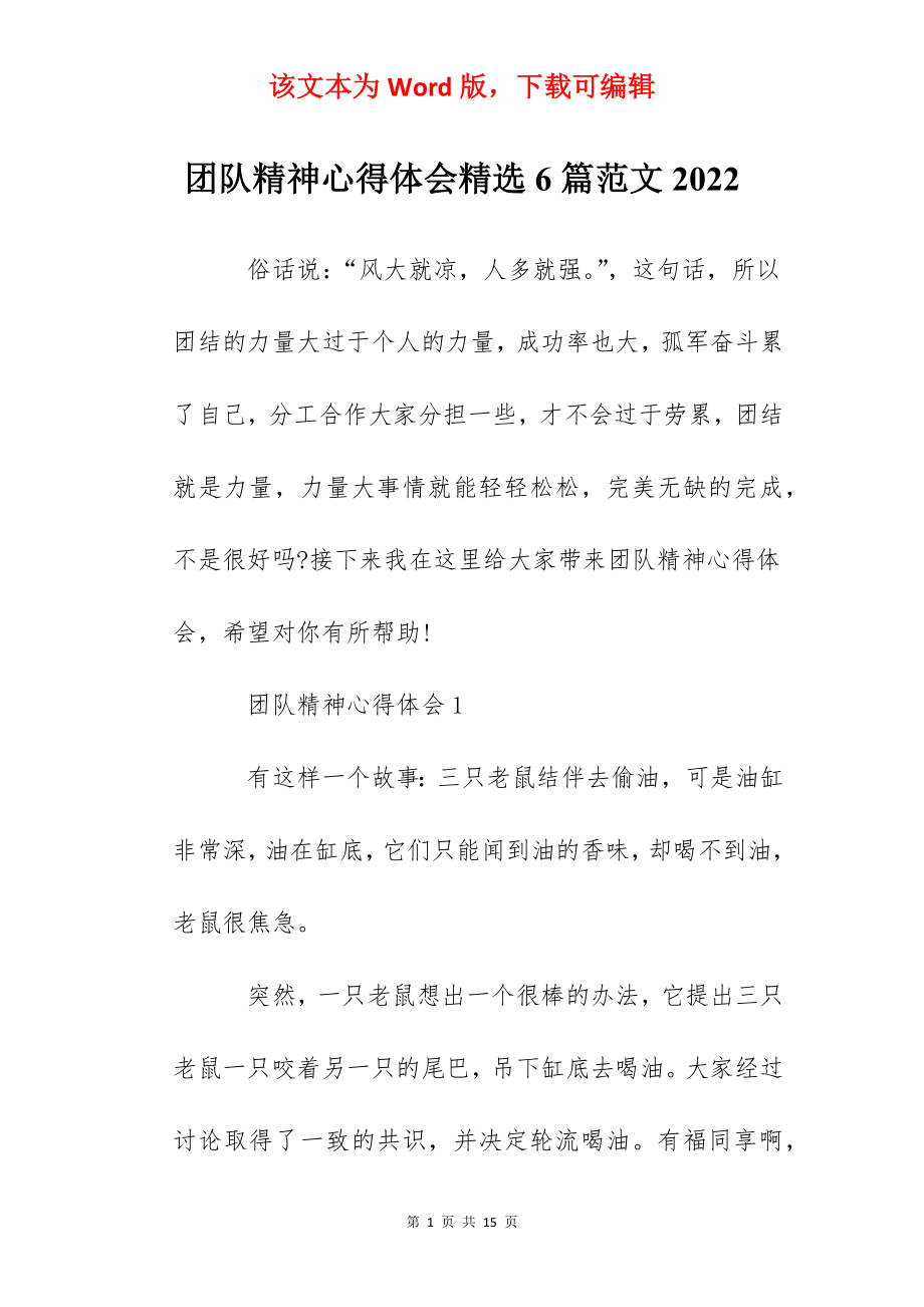 团队精神心得体会精选6篇范文2022.docx_第1页