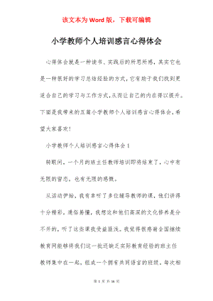 小学教师个人培训感言心得体会.docx