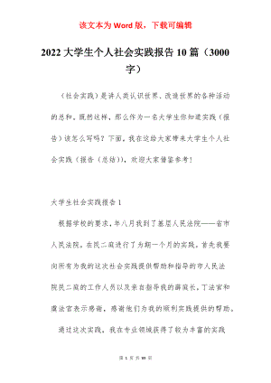 2022大学生个人社会实践报告10篇（3000字）.docx