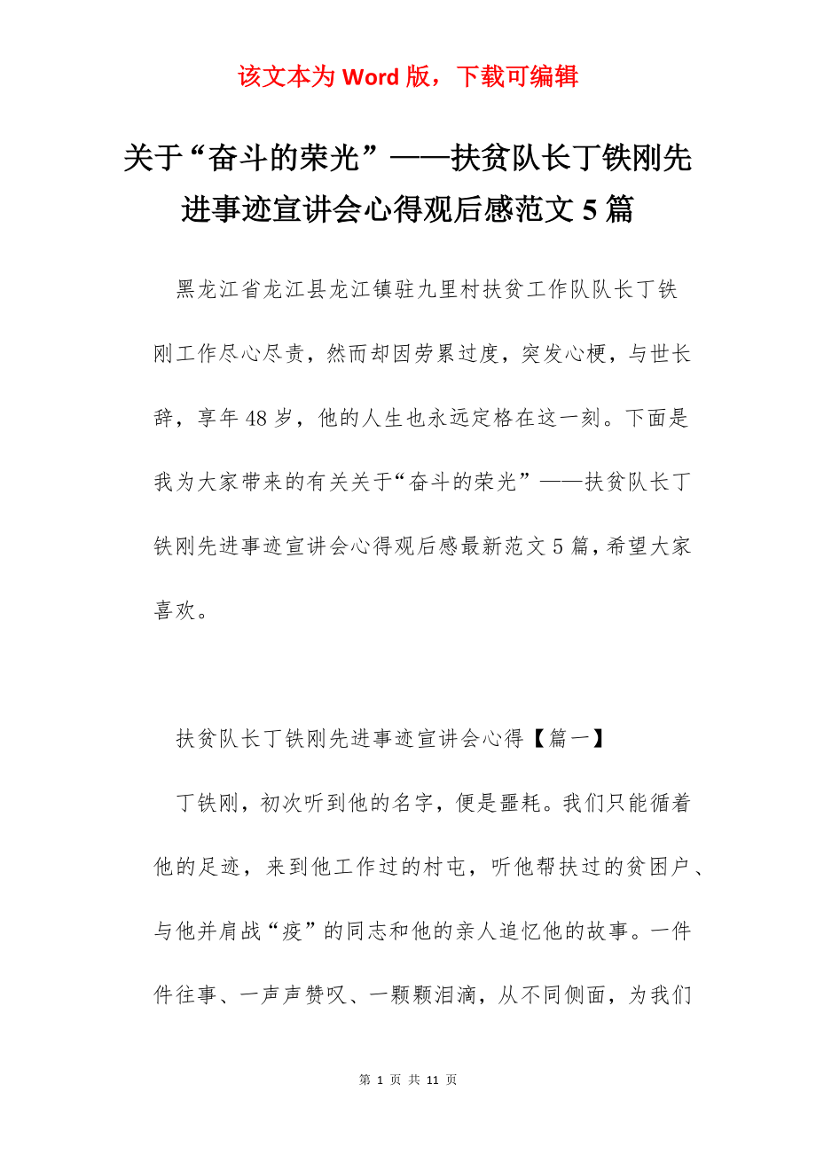 关于“奋斗的荣光”——扶贫队长丁铁刚先进事迹宣讲会心得观后感范文5篇.docx_第1页