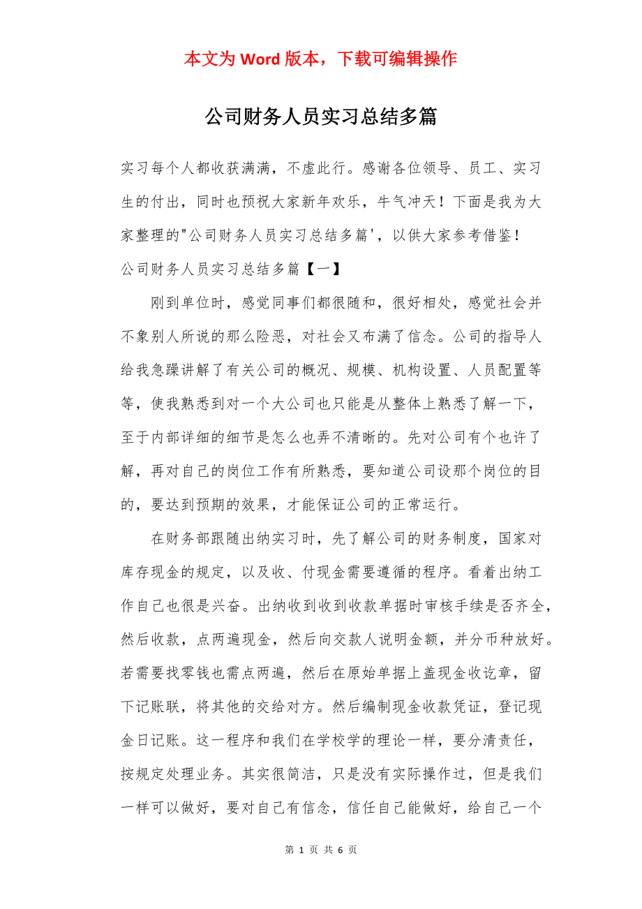 公司财务人员实习总结多篇.docx_第1页