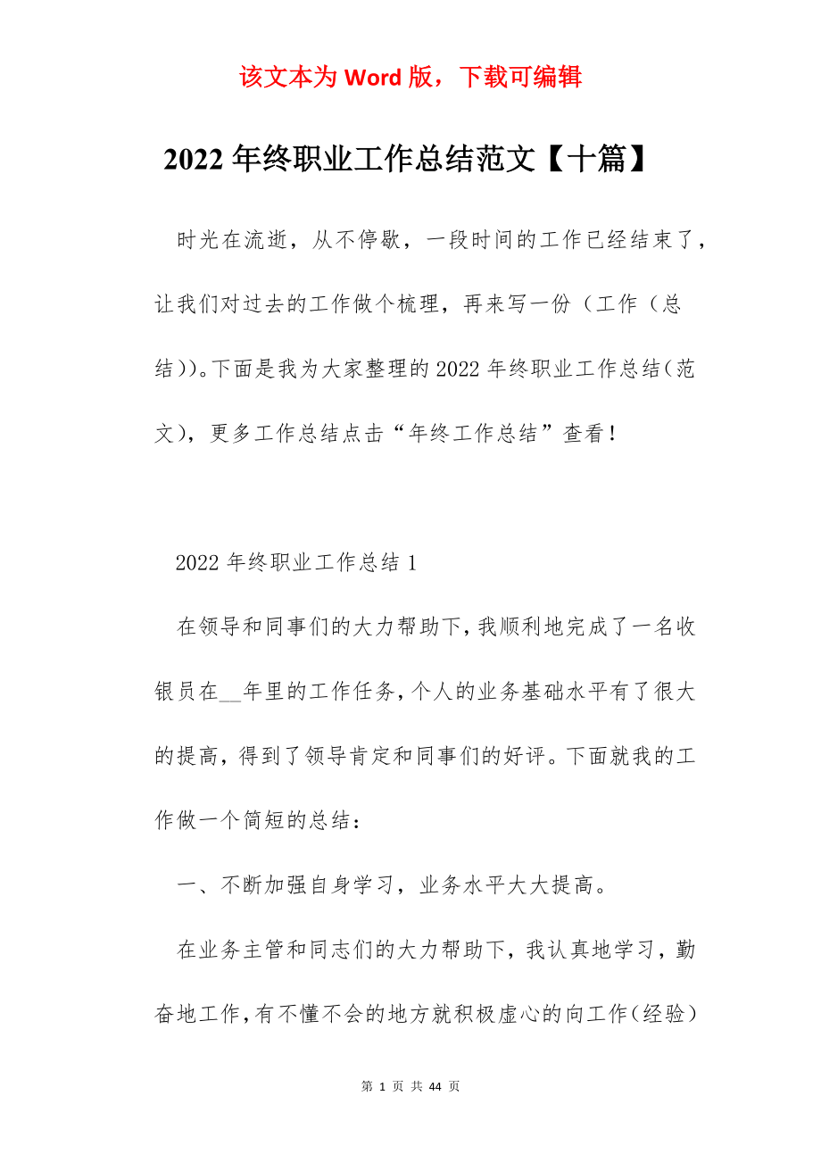 2022年终职业工作总结范文【十篇】.docx_第1页