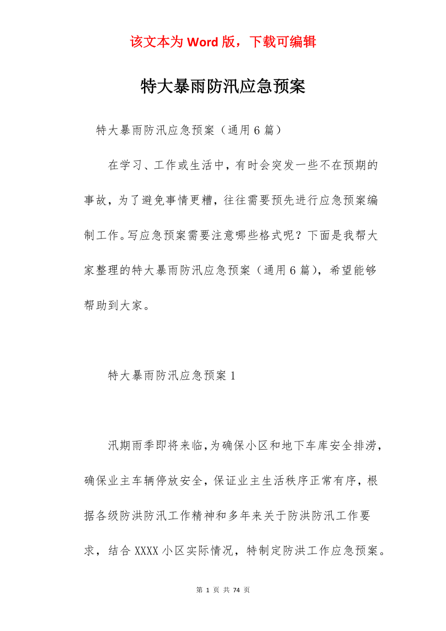 特大暴雨防汛应急预案.docx_第1页