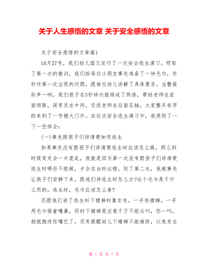 关于人生感悟的文章 关于安全感悟的文章 .doc