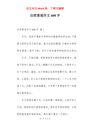 自然景观作文600字.docx