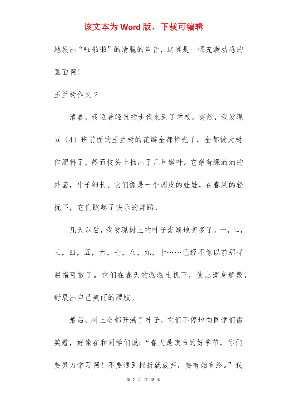 玉兰树作文.docx_第2页