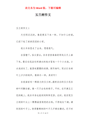 玉兰树作文.docx