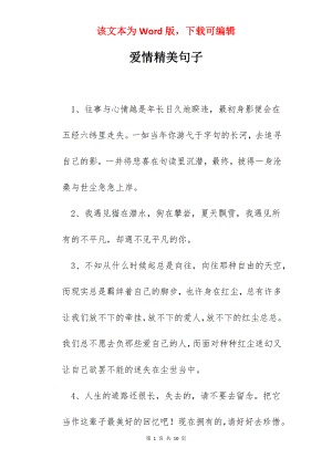 爱情精美句子.docx