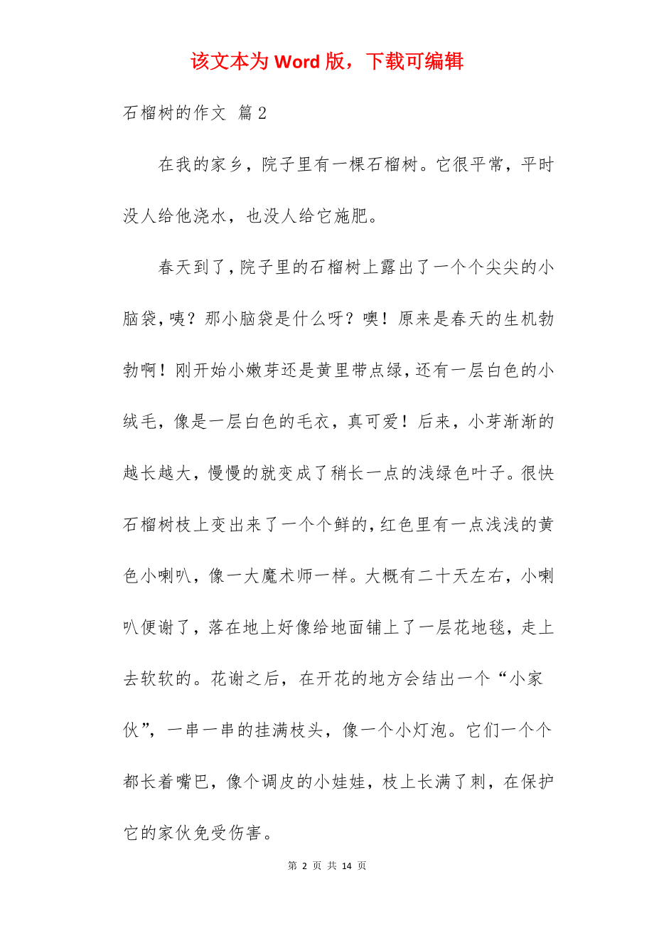 石榴树的作文.docx_第2页