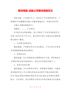 整改措施 运输公司整改措施范文.doc