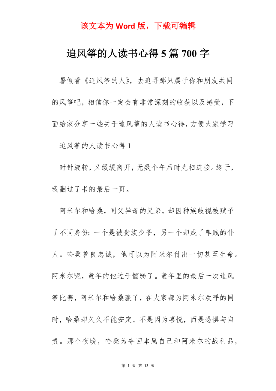 追风筝的人读书心得5篇700字.docx_第1页